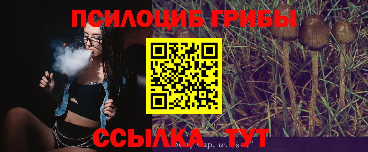 Гатчина  Галлюциногенные грибы Cubensis  Псилоцибиновые грибы GOLDEN TEACHER  Вход с VPN 