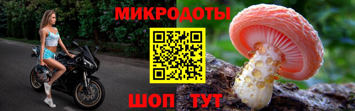 Галлюциногенные грибы мицелий Гатчина